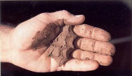 sol argilos nisipos - ceea ce este