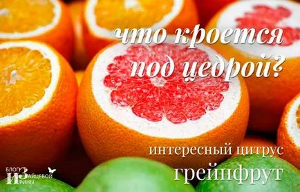 Grapefruit pentru pierderea în greutate și de sănătate