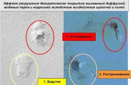 pereți Primer caracteristici proces important și tehnologii de aplicare