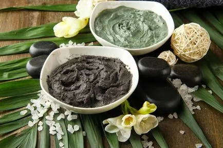 Noroi Masca secrete de gătit și rețete (noroi masca facială) Rețete cu nămol masca facială și secrete de gătit