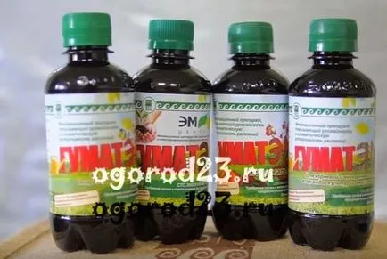 Humic îngrășământ - compoziție, tipuri, eficiență
