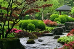 proces creativ Garden interior (foto)