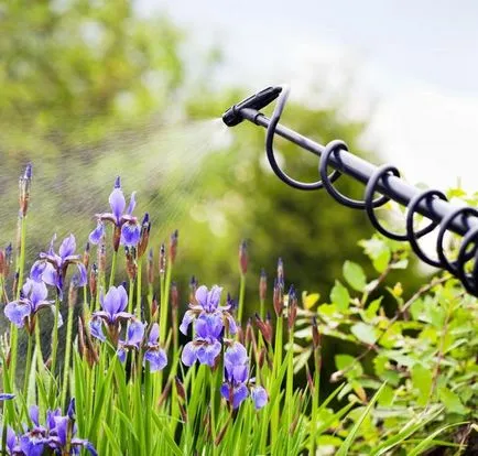 clasele de pericol grup Insecticide, aplicarea în zona suburbană