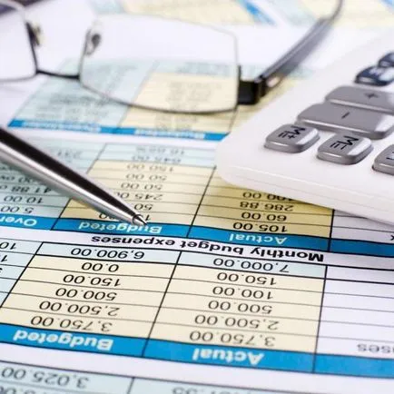 Descrierea de audit Inițiativa, scop, caracteristici și valoarea
