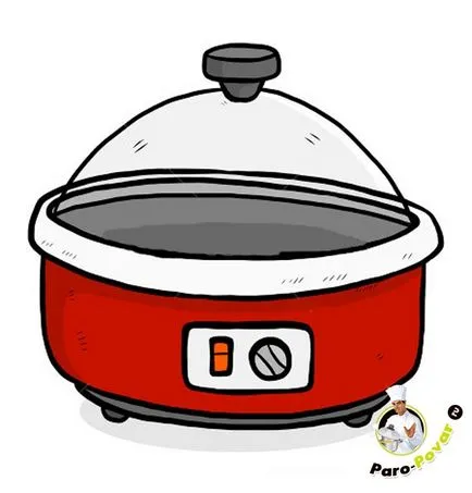 Instrucțiuni pentru a utiliza steamer - sfaturi și funcții