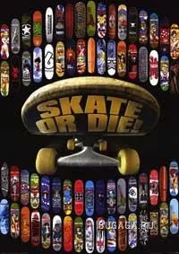 Istoria skateboarding