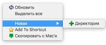IPad și iPhone ca memorii flash, totul despre iPad