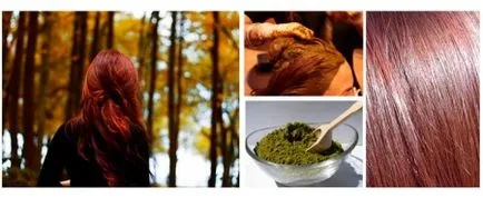 henna iranian (48 poze) Henna naturale pentru păr, indian, comentarii ce mai bine