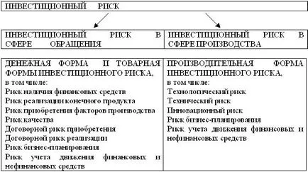 risc de investiții