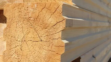 Ce mai bine pentru a construi o saună din ce materiale