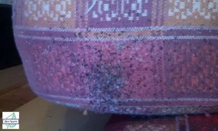 Pentru a scapa de ploșnițe în apartament repede cât de repede pentru a scăpa de, și cât de mult costă, comentarii