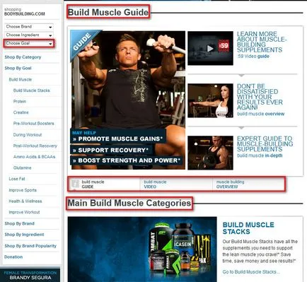 Magazin online ()
