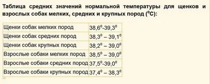 Care este temperatura normală la câini pietre mici și mari