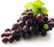 Ca hrănire fructe