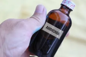 Cum și ce pentru a curăța și se spală cojocul la domiciliu (condiții) Cum și ce pentru a curăța și se spală cojocul la domiciliu
