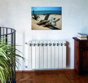 Ce mai bine de aluminiu sau radiatoare bimetal, caracteristici baterie, pro și