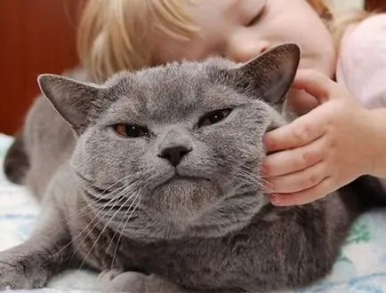 Ce stroking pisica articole cele mai placute (cat) Ce stroking pisica articole cele mai placute