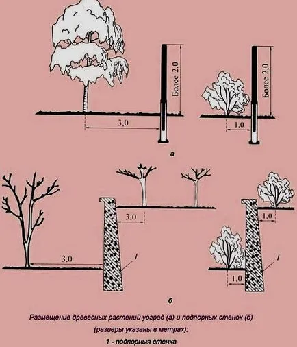 Ce arbuști pot fi plantate de-a lungul gardului (la plante) Ce arbuști pot fi plantate de-a lungul gardului