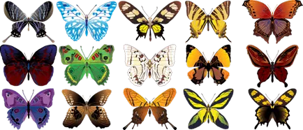 Butterfly este cine sau ce