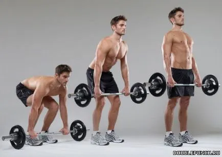Ce este o bază de date exercițiu