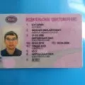 Cum de a căuta și de a găsi comoara