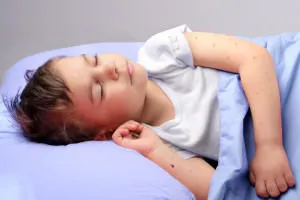Cum să scapi de muște într-o casă de țară - cel mai bun mijloc de