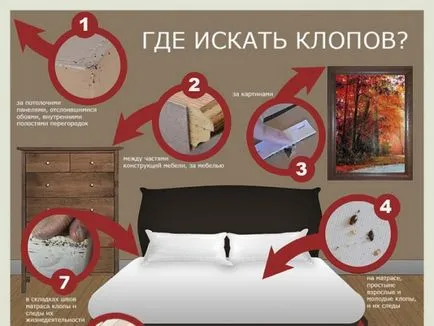 Cum să scapi de diferite tipuri de ploșnițe în apartament propriu