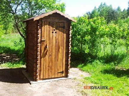 Cum să scapi de muște în toaletă în afara (WC) Cum să scapi de muște în toaletă în afara
