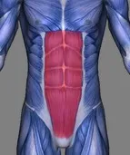 Cum să balanseze presa de jos cinci exerciții eficiente, fitvid (inferior) Cum să balanseze presa de jos cinci exerciții eficiente, fitvid