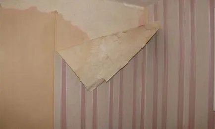 Ca adeziv tapet pe tapet - avantaje și posibile probleme video (cum ar fi lipici tapet pe tapet) Ca adeziv tapet pe tapet - avantaje și posibile probleme video,
