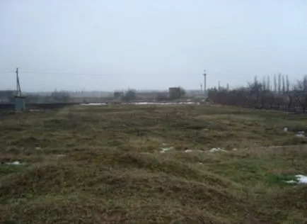 Cum să cumpere cabana cele mai multe soluții corecte (cabana) Cum să cumpere cabana decizia cea mai corectă