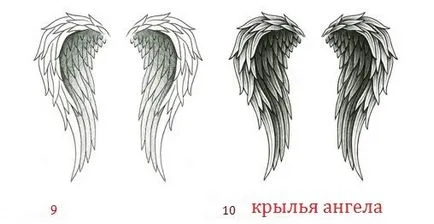 Ca narisovat tatuaj creion aripi de înger în etape (aripi) Ca narisovat tatuaj înger aripi creion, treptat