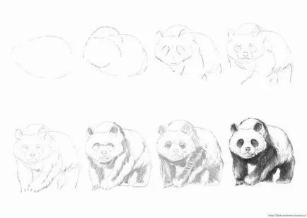 Cum de a desena un mâner panda simplu, cu ajutorul unei fotografii (imagine) Cum să atragă un panda un stilou simplu, folosind fotografie