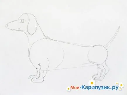 Cum de a desena o taxă de creion în etape
