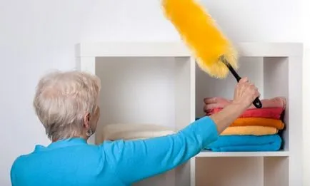 Cum sa scapi de molii în apartament