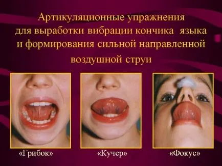 Cum de a preda un copil se pronunță lecții de terapie scrisoare r vorbire la domiciliu de la 5 ani