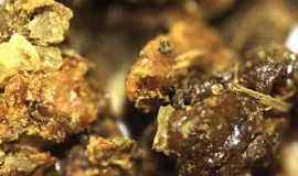 Cum se curata si se separe de propolis de impurități în casă