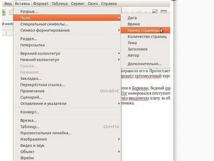 Ca pagini numerotate Open Office (foaie de acoperire de cabinet) Cum să numerotați paginile din Open Office