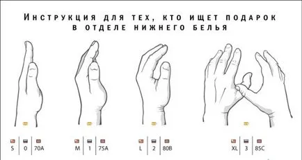 Cum de a determina mărimea sânului, găsiți forma de cupe, proporțiile Compute vizuală care au o masă