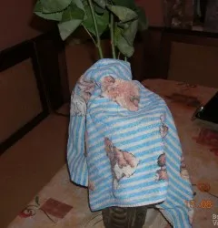 Cum să reînvie trandafiri estompate