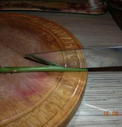 Cum să reînvie trandafiri estompate