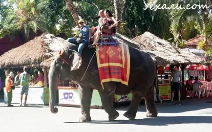Cum să se mute pentru a trăi în Thailanda, și să nu se întoarcă la cei săraci (să se mute în Thailanda) Cum să se mute pentru a trăi în Thailanda, și să nu se întoarcă la cei săraci