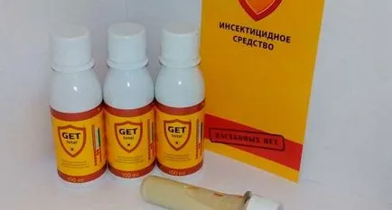Ce apar purici