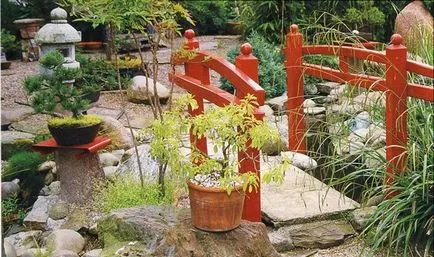 Bonsai pentru ce
