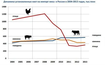 producția de pui producția de pui