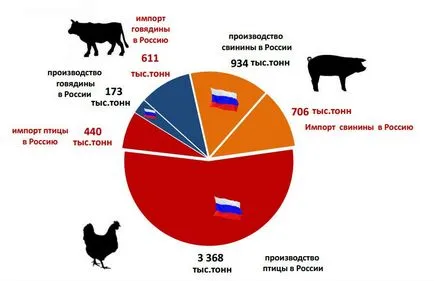 producția de pui producția de pui