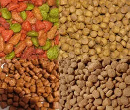 Cum de a transfera o pisica pe alimente naturale - catstock
