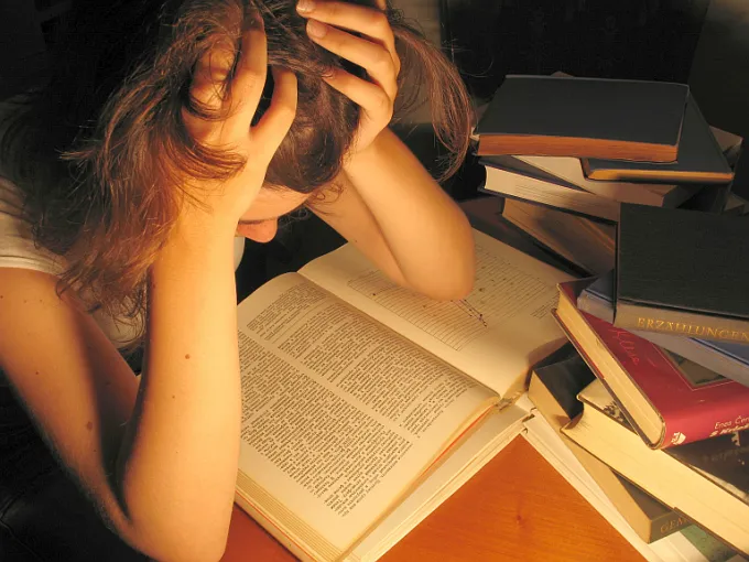 Cum să se pregătească pentru examenele de limba română