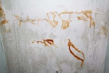 Cum să picteze pereții într-un apartament cu mâinile lor Regulile sunt tehnici simple și originale (cu perii) Cum să picteze pereții într-un apartament cu mâinile lor Regulile sunt tehnici simple și originale
