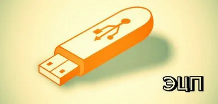 Cum se obține o semnătură electronică pentru serviciile publice (pentru a obține o semnătură electronică) Cum se obține o semnătură electronică pentru serviciile publice